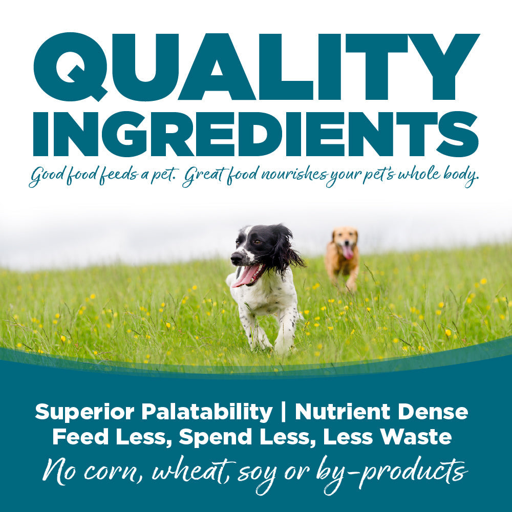 Wet Dog Food product image 4