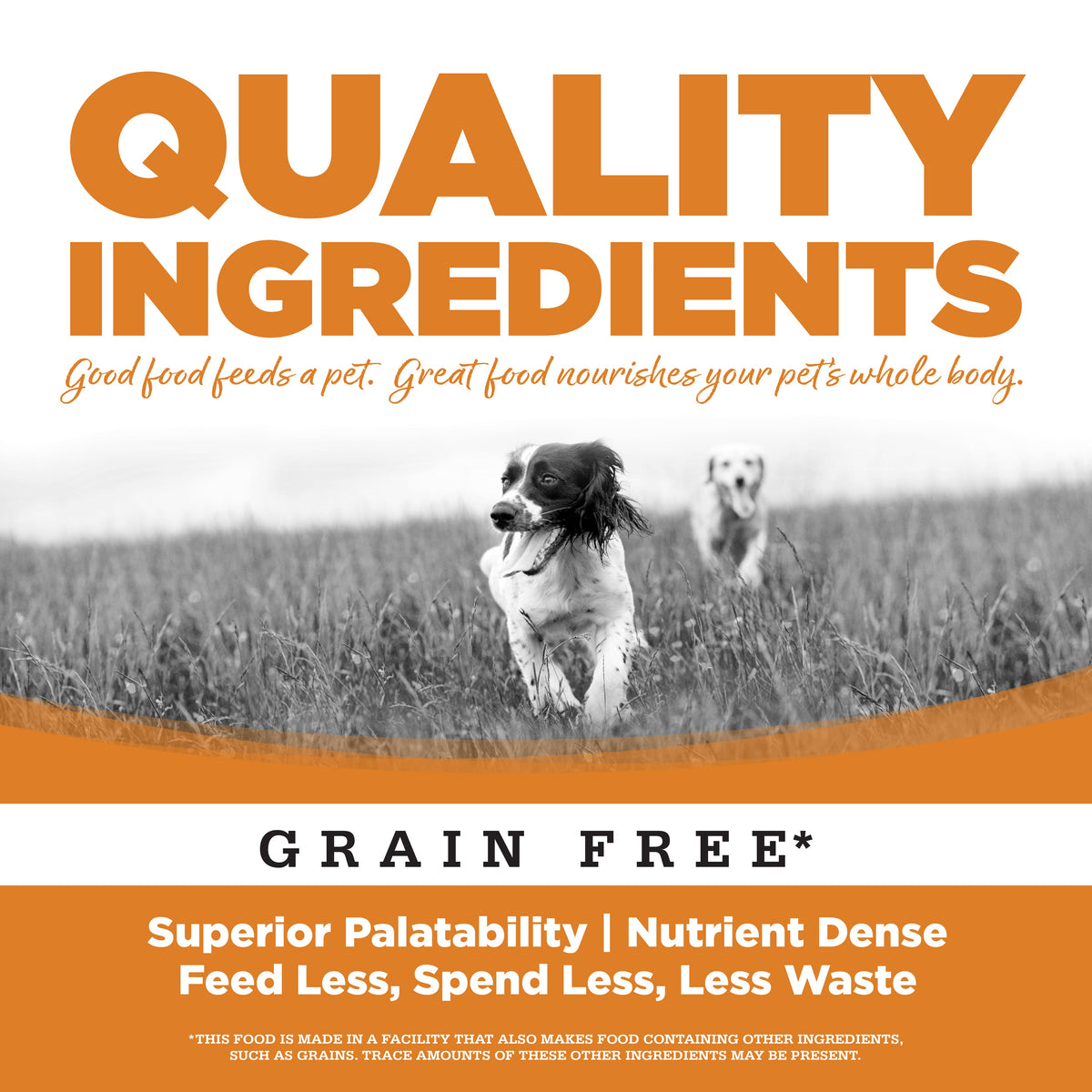 Wet Dog Food product image 3