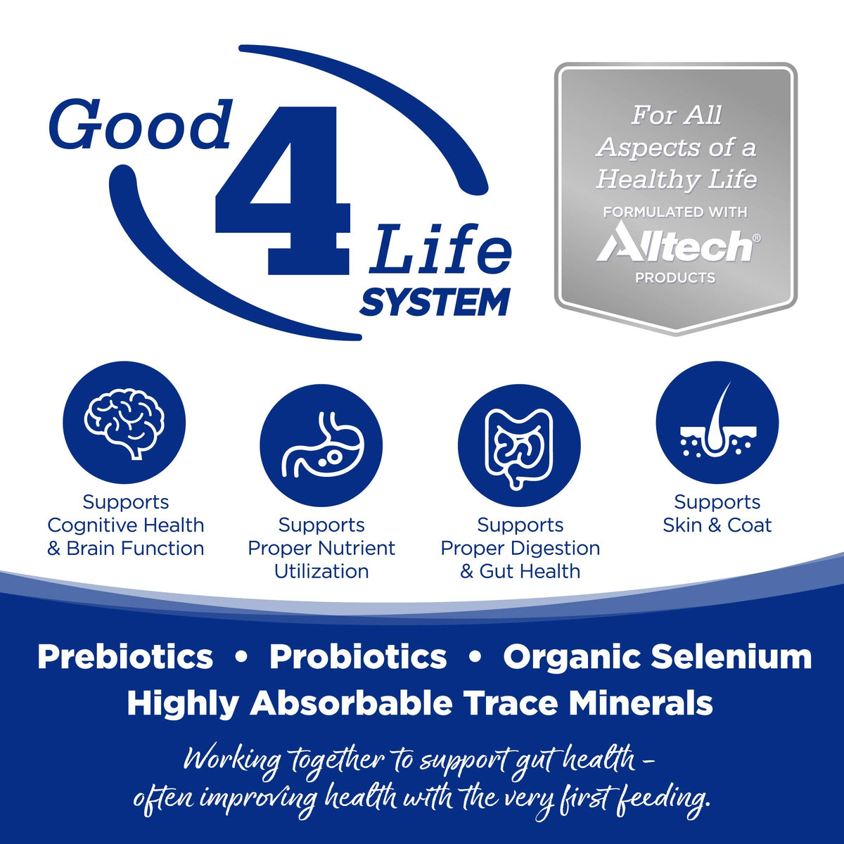 Wet Dog Food product image 7