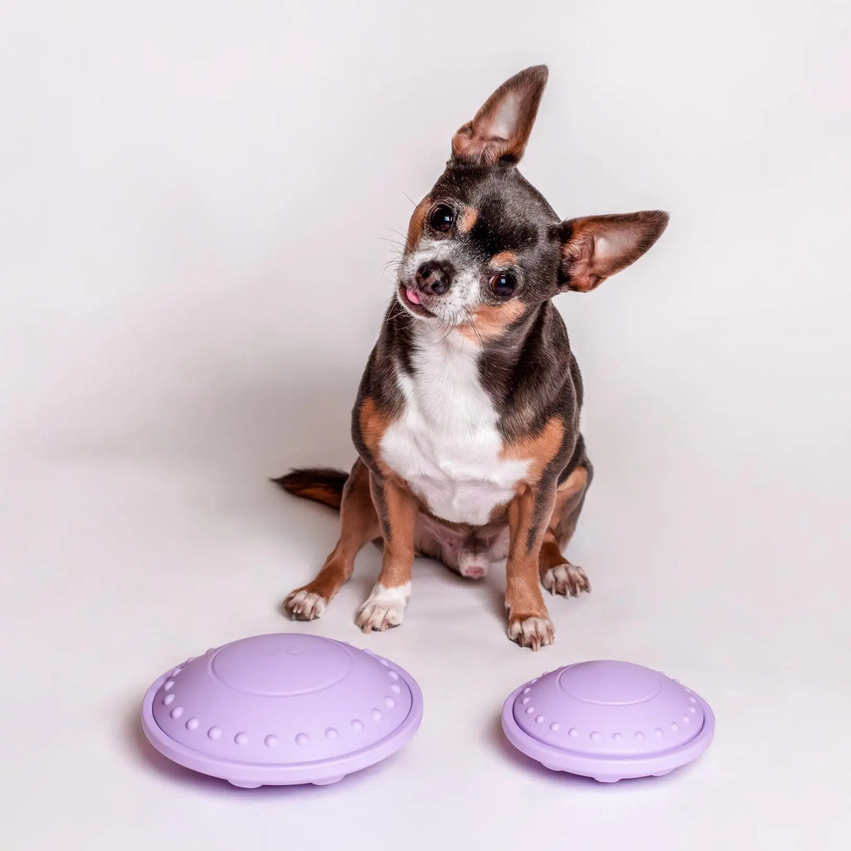 Pet Puzzle Toy product image 2