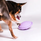 Pet Puzzle Toy product image 5