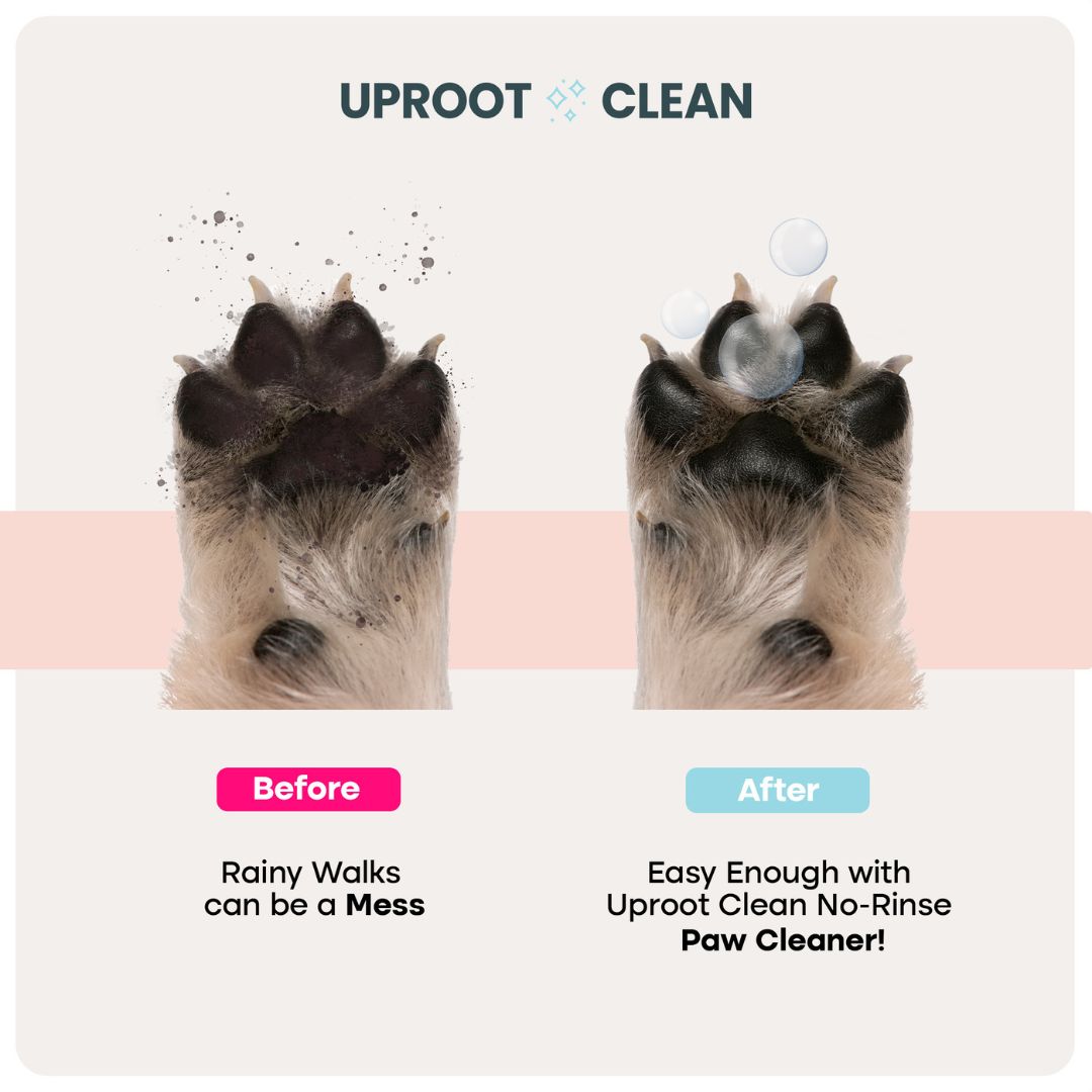 Pet Care Bundle product image 5