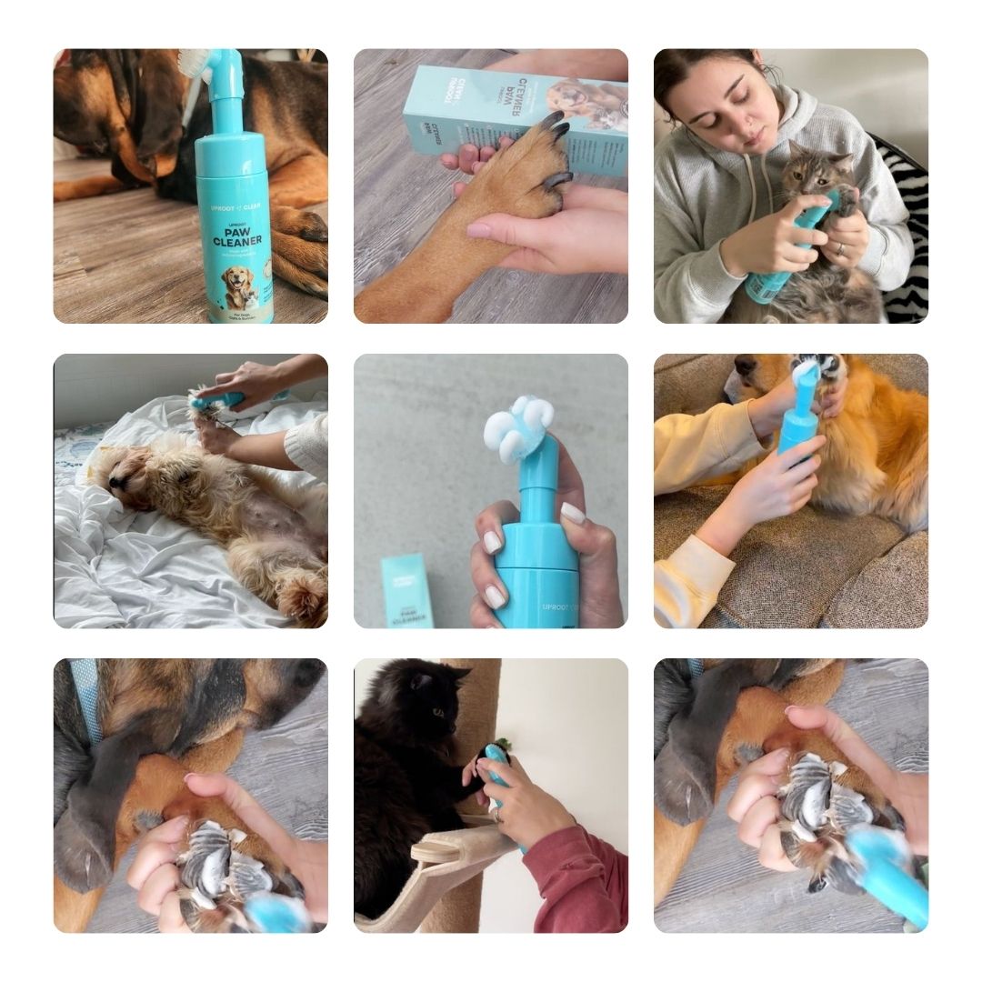 Pet Care Bundle product image 11