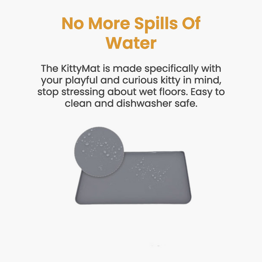 Cat Water Fountain Kit product image 10