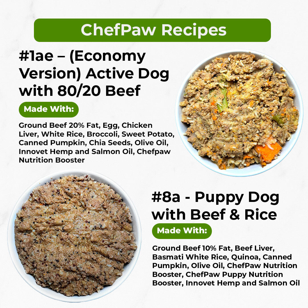 Certified Pre-Owned ChefPaw® Dog Food Maker