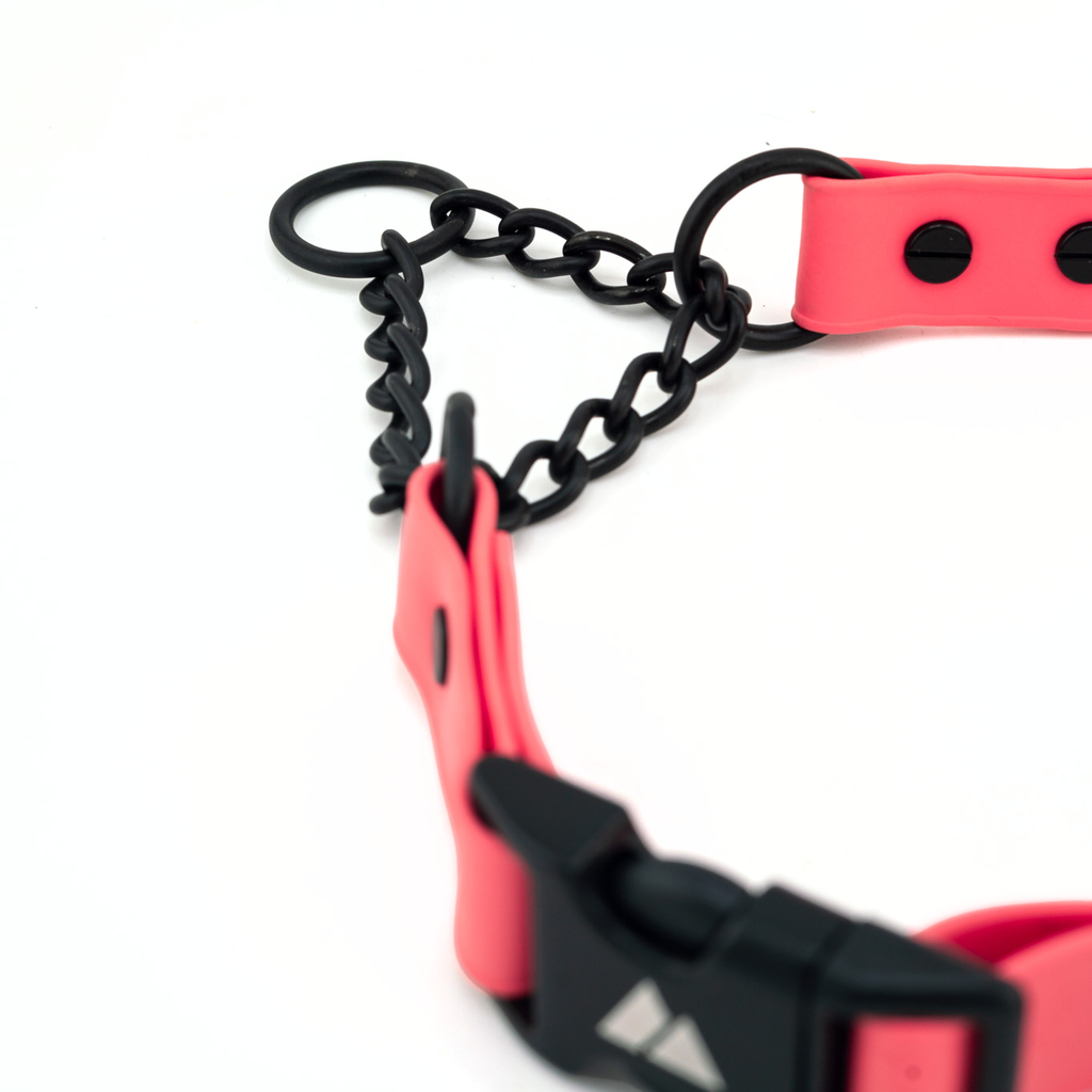 Martingale Dog Collar product image 2