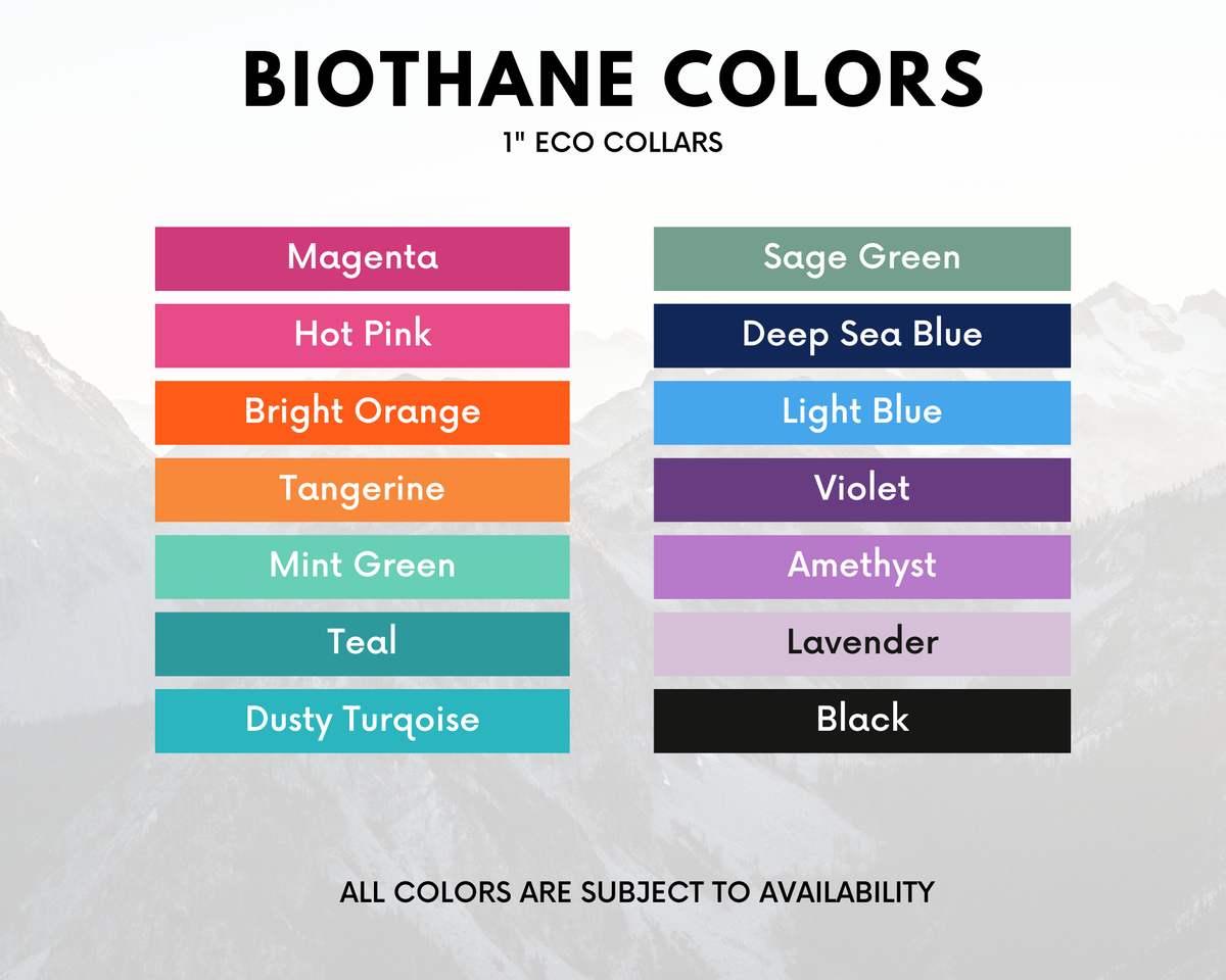 Martingale Dog Collar product image 3