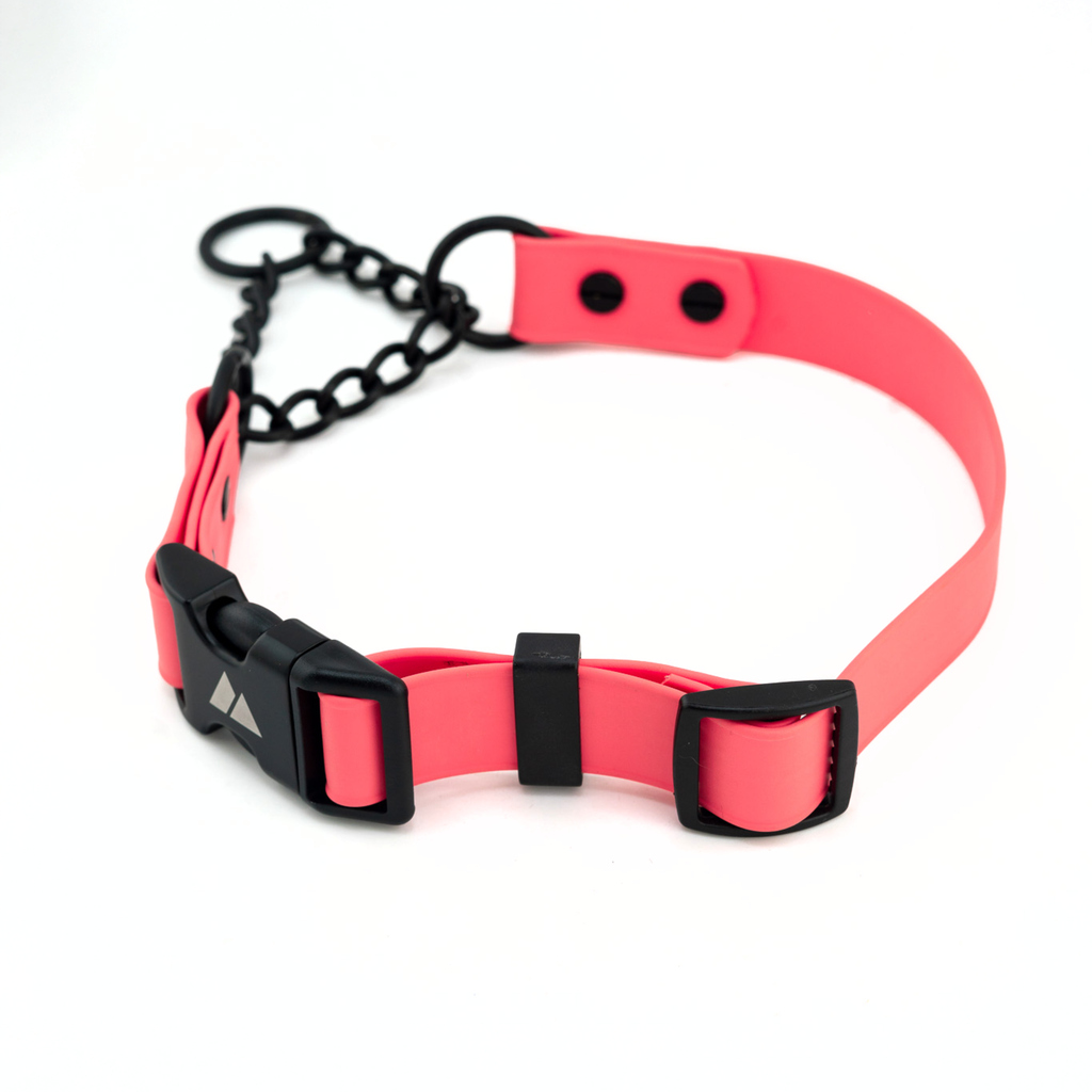 Martingale Dog Collar product image 4