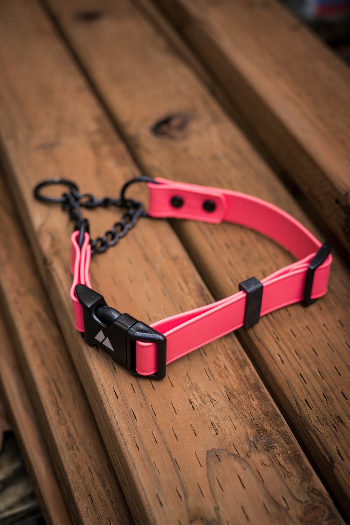 Martingale Dog Collar product image 6
