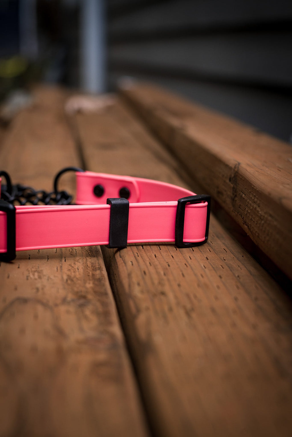 Martingale Dog Collar product image 7