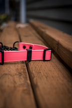 Martingale Dog Collar product image 7