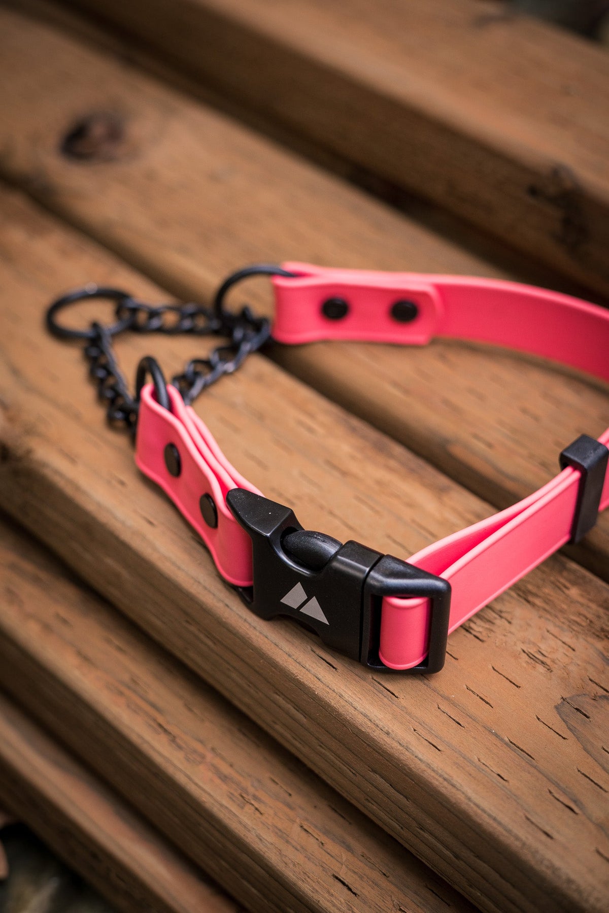 Martingale Dog Collar product image 9