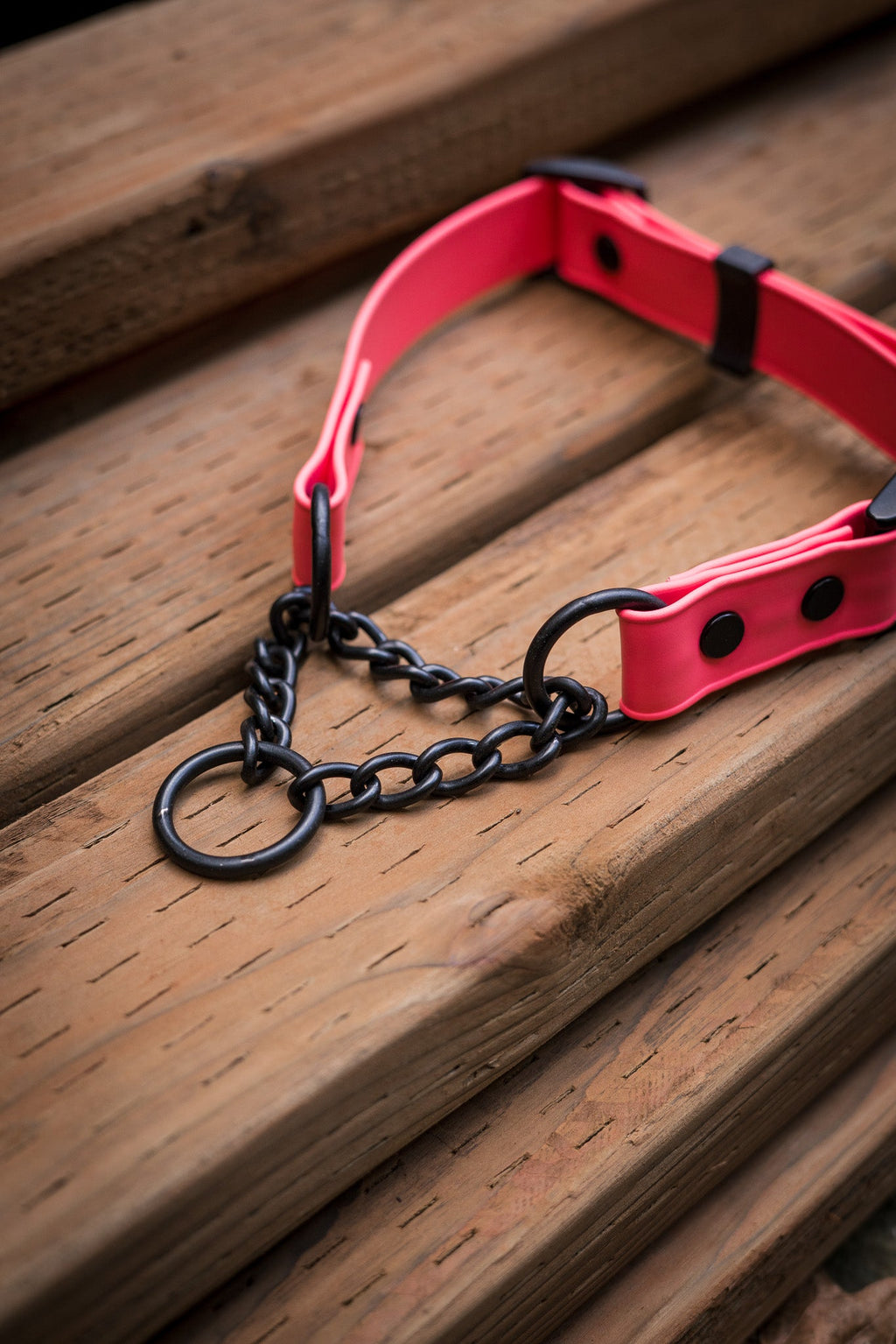 Martingale Dog Collar product image 10