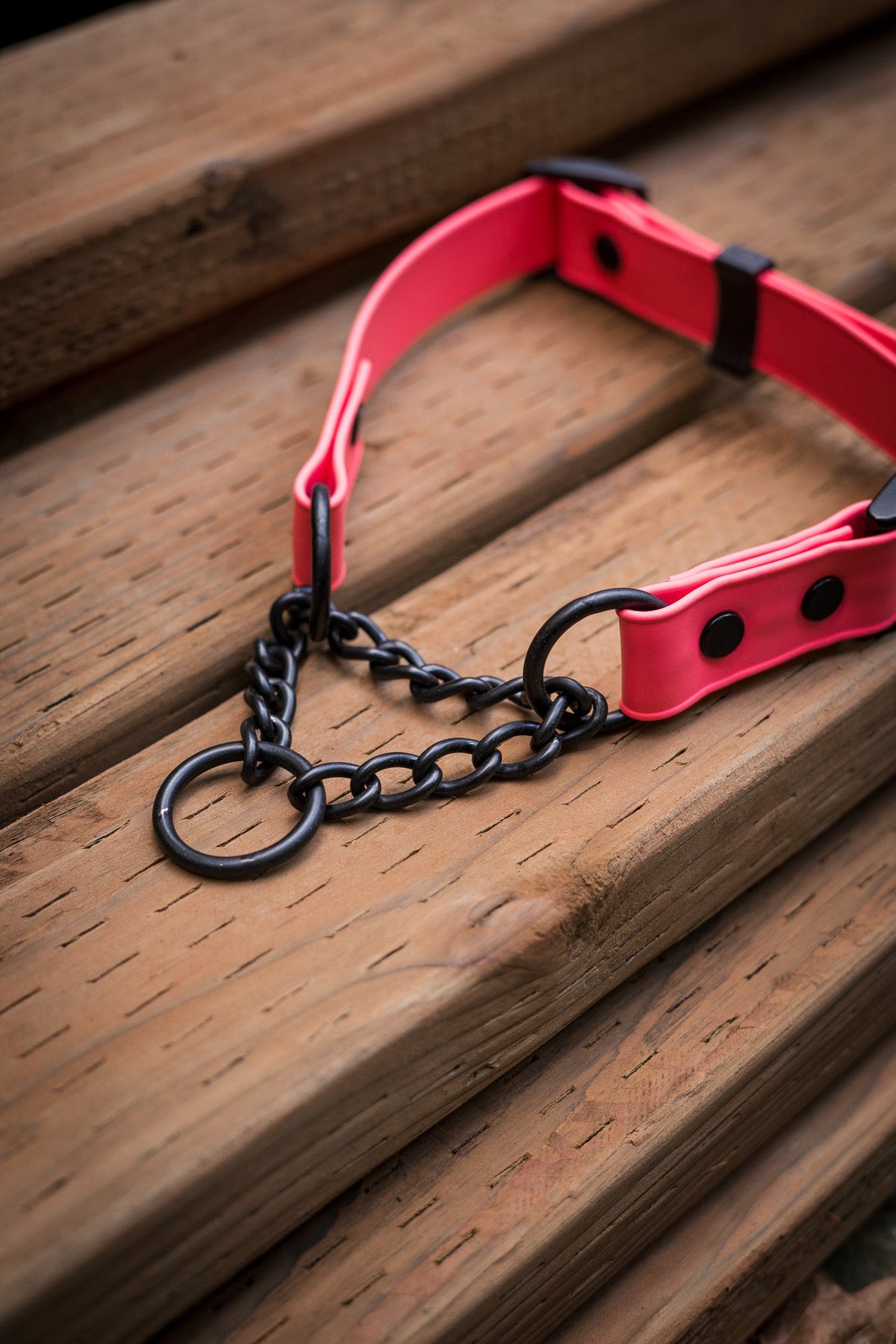 Martingale Dog Collar product image 10
