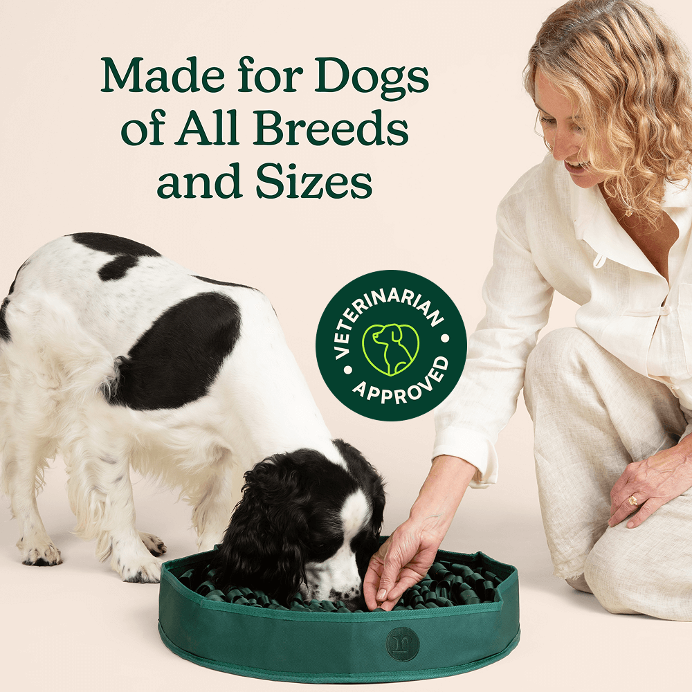 Dog Snuffle Mat Bundle product image 5