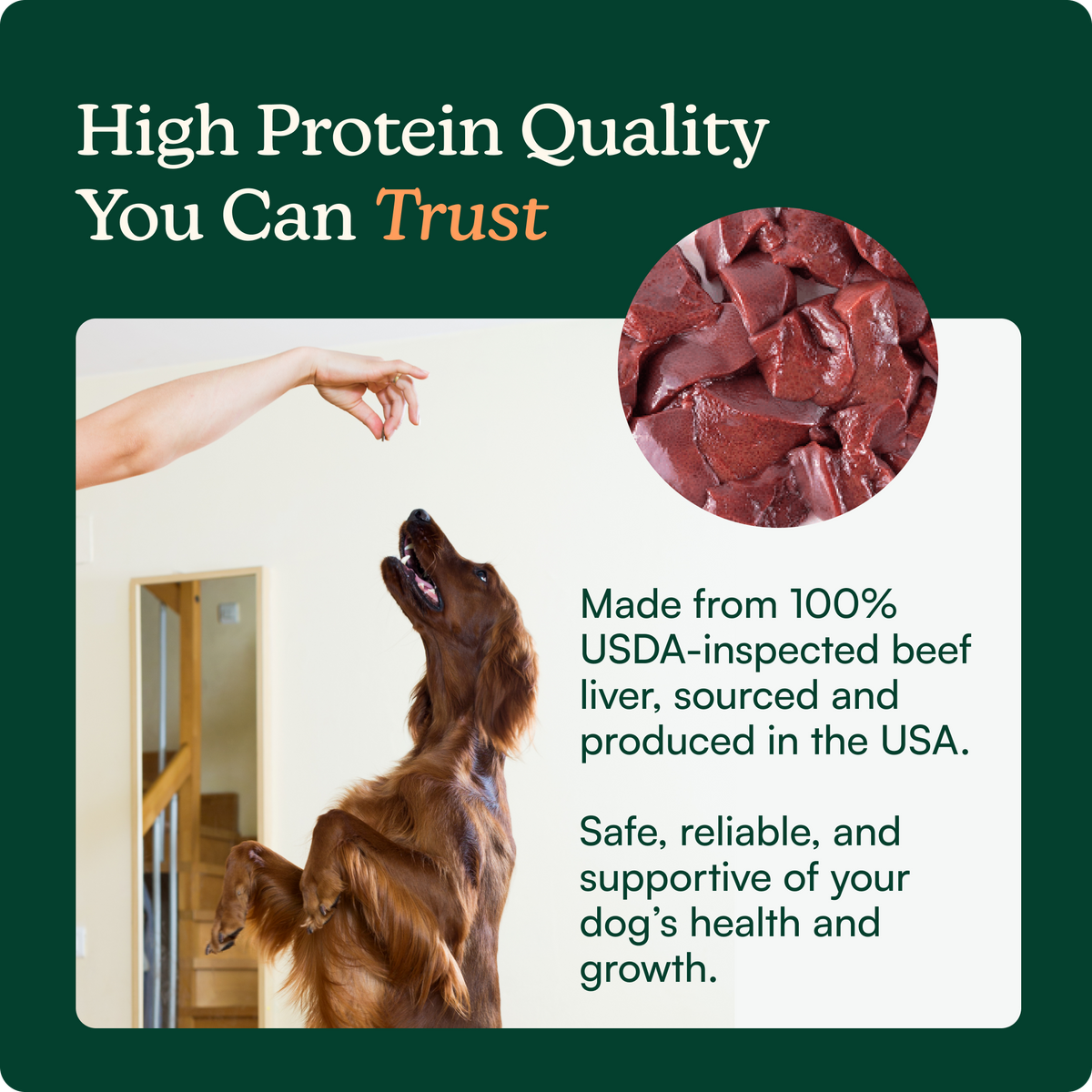 Dog Snuffle Mat Bundle product image 8