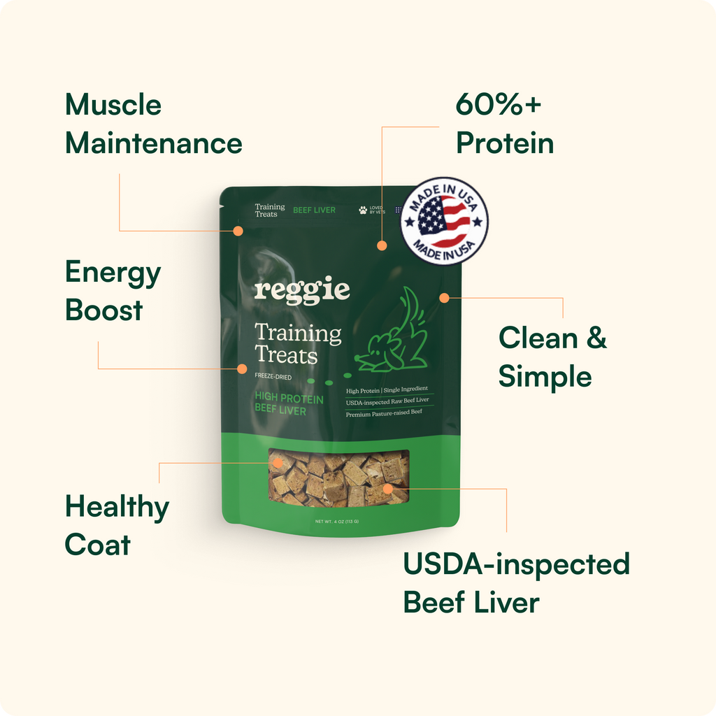 Dog Snuffle Mat Bundle product image 11