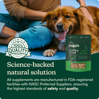 Dog Snuffle Mat Bundle product image 12