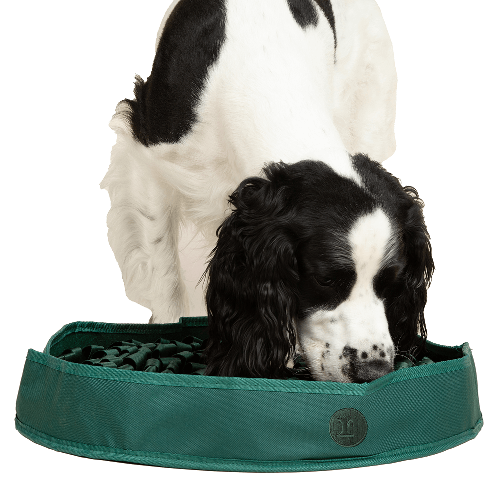 Dog Snuffle Mat Bundle product image 14