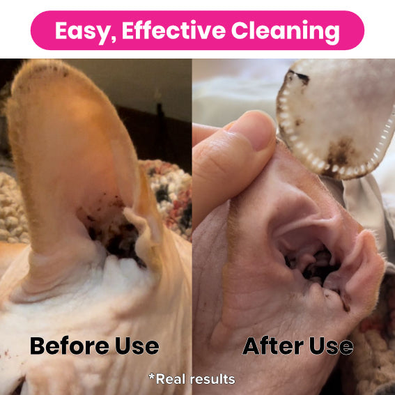Pet Ear Wipes product image 3