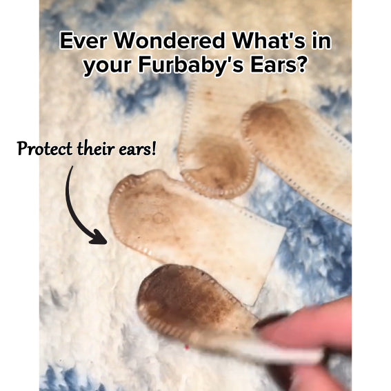 Pet Ear Wipes product image 4