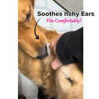 Pet Ear Wipes product image 5