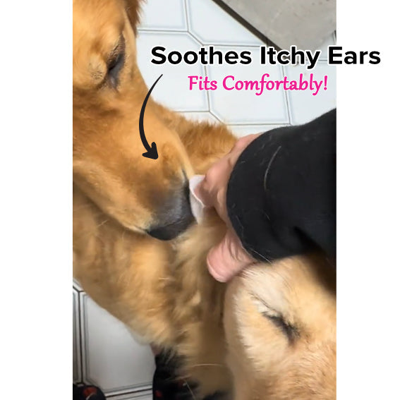 Pet Ear Wipes product image 5