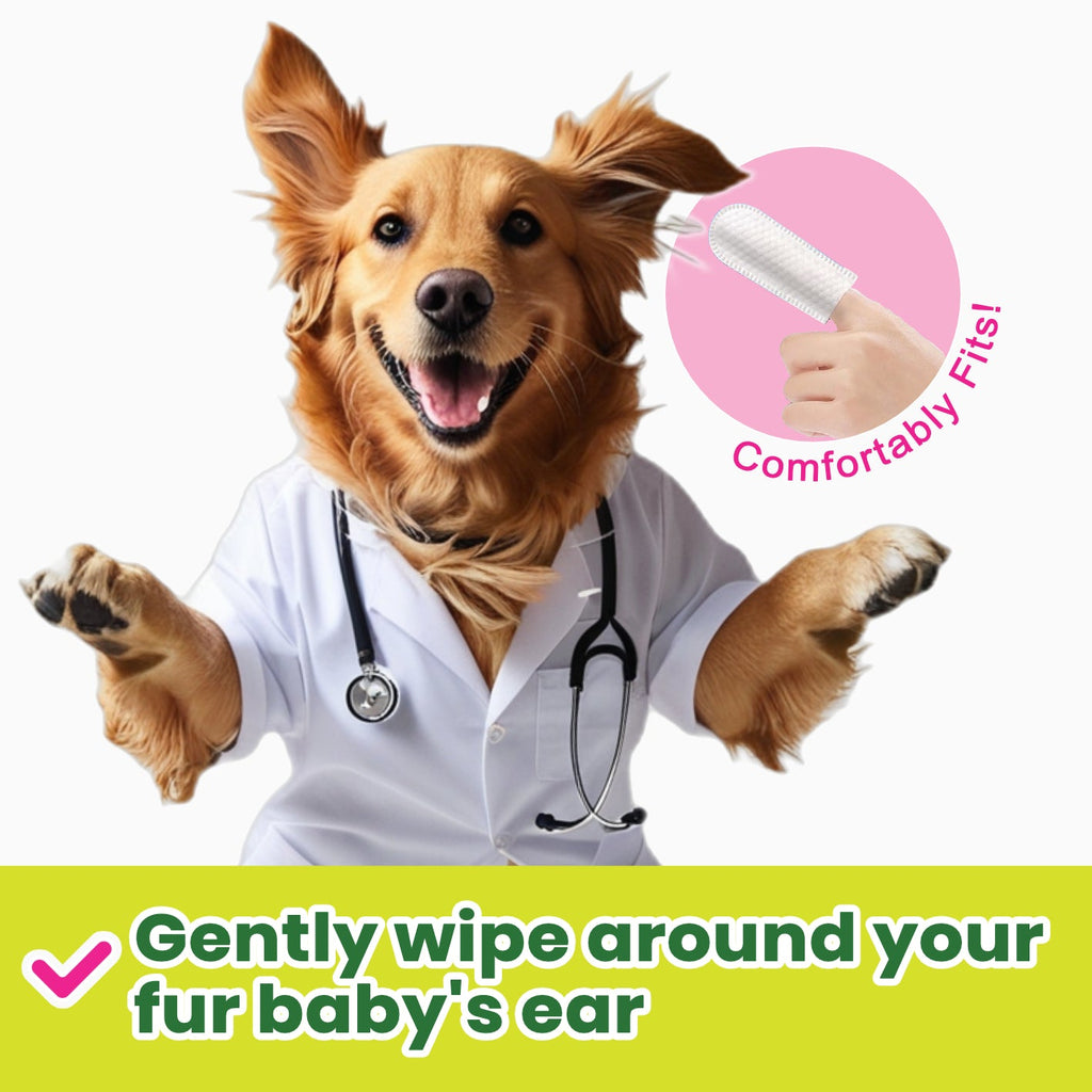 Pet Ear Wipes product image 10