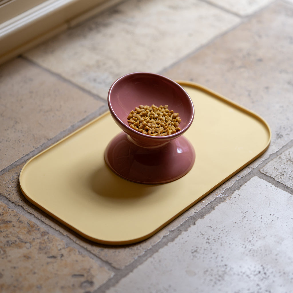 Raised Pet Bowl product image 4