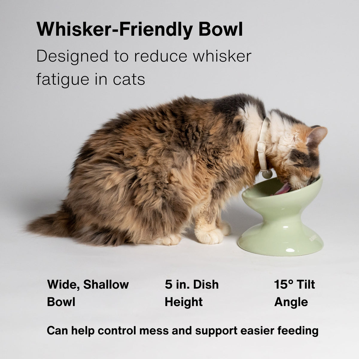 Raised Pet Bowl product image 6
