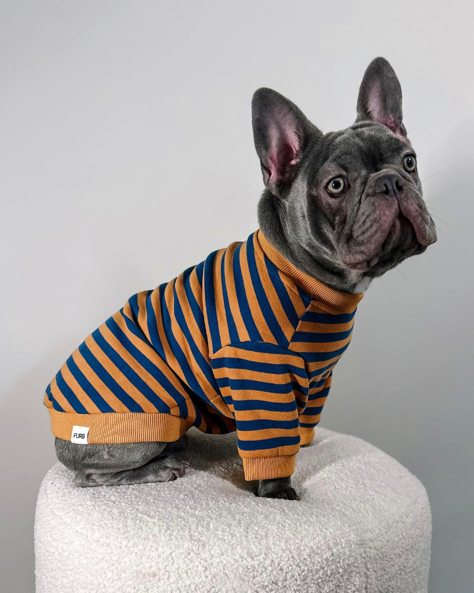 Dog Sweatshirt product image 2