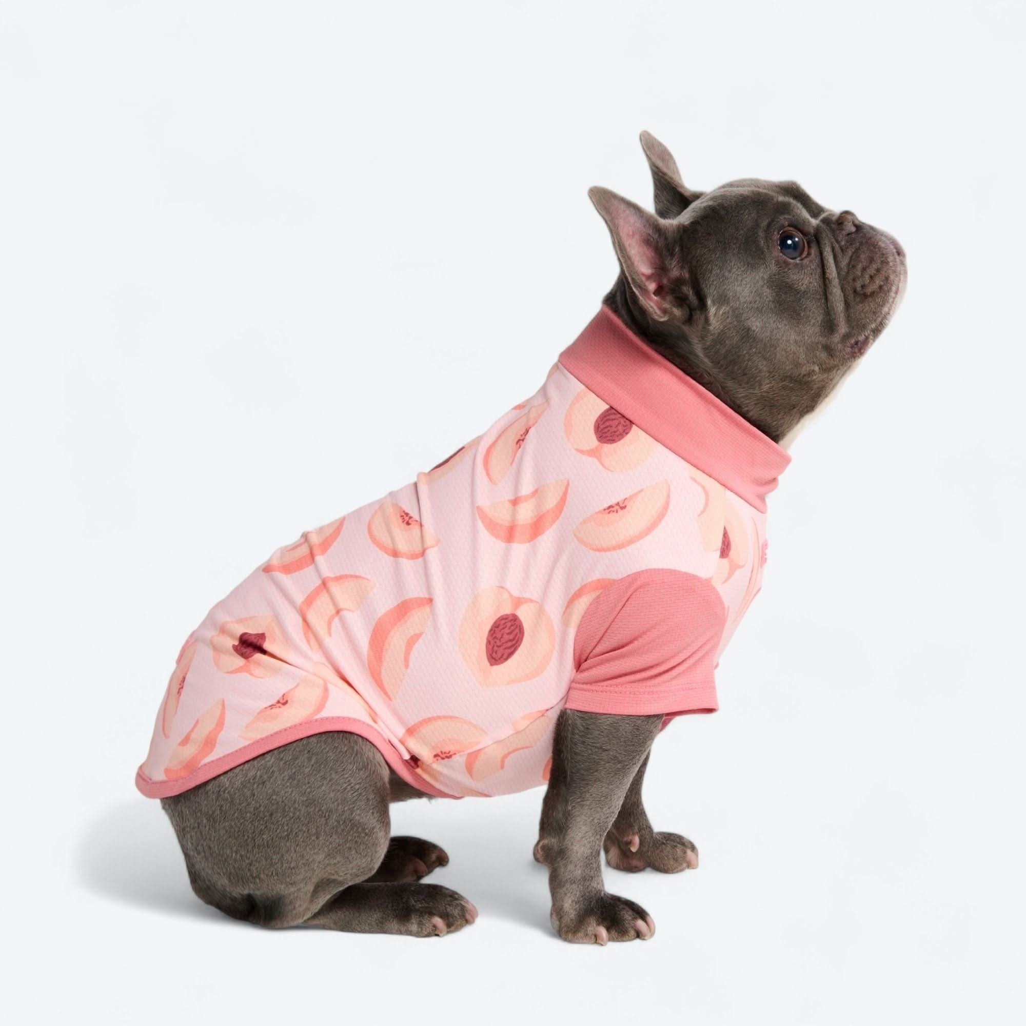 UPF 30 Printed Dog Sun Shirt product image 51