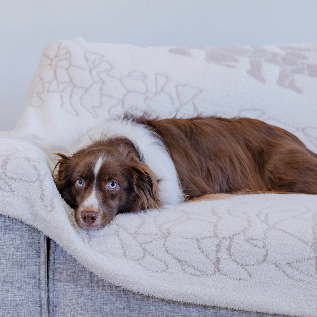 Dog Blanket product image 1
