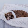 Dog Blanket product image 1