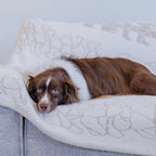Dog Blanket product image 1