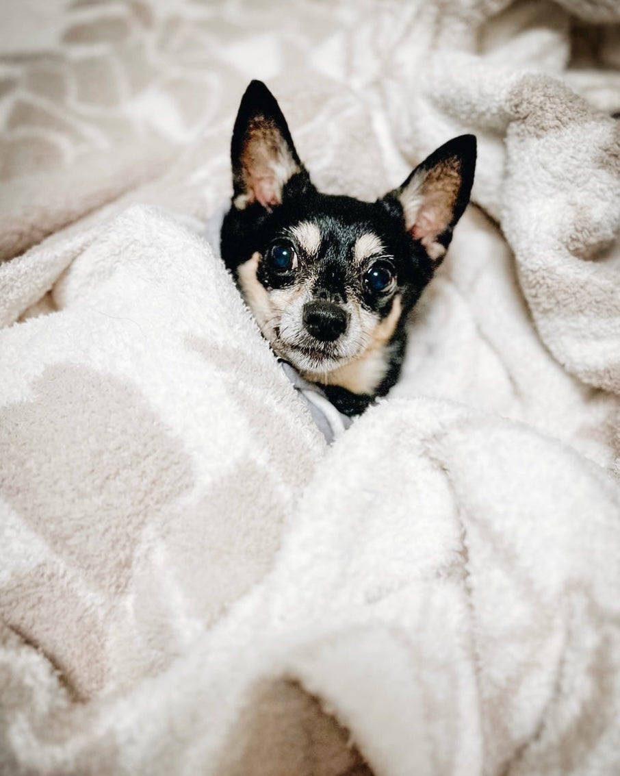 Dog Blanket product image 6
