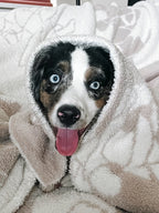 Dog Blanket product image 8