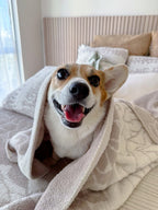 Dog Blanket product image 9