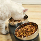 Elevated Cat Bowl product image 2