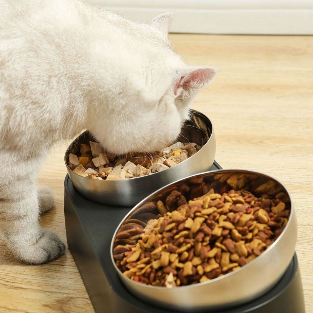Elevated Cat Bowl product image 2