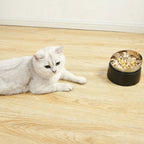 Elevated Cat Bowl product image 3