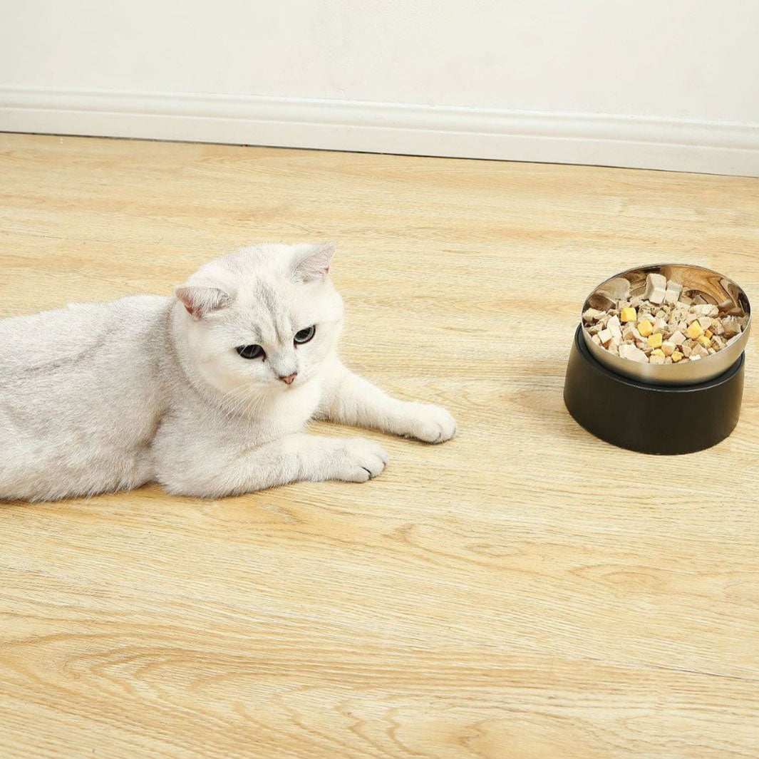 Elevated Cat Bowl product image 3