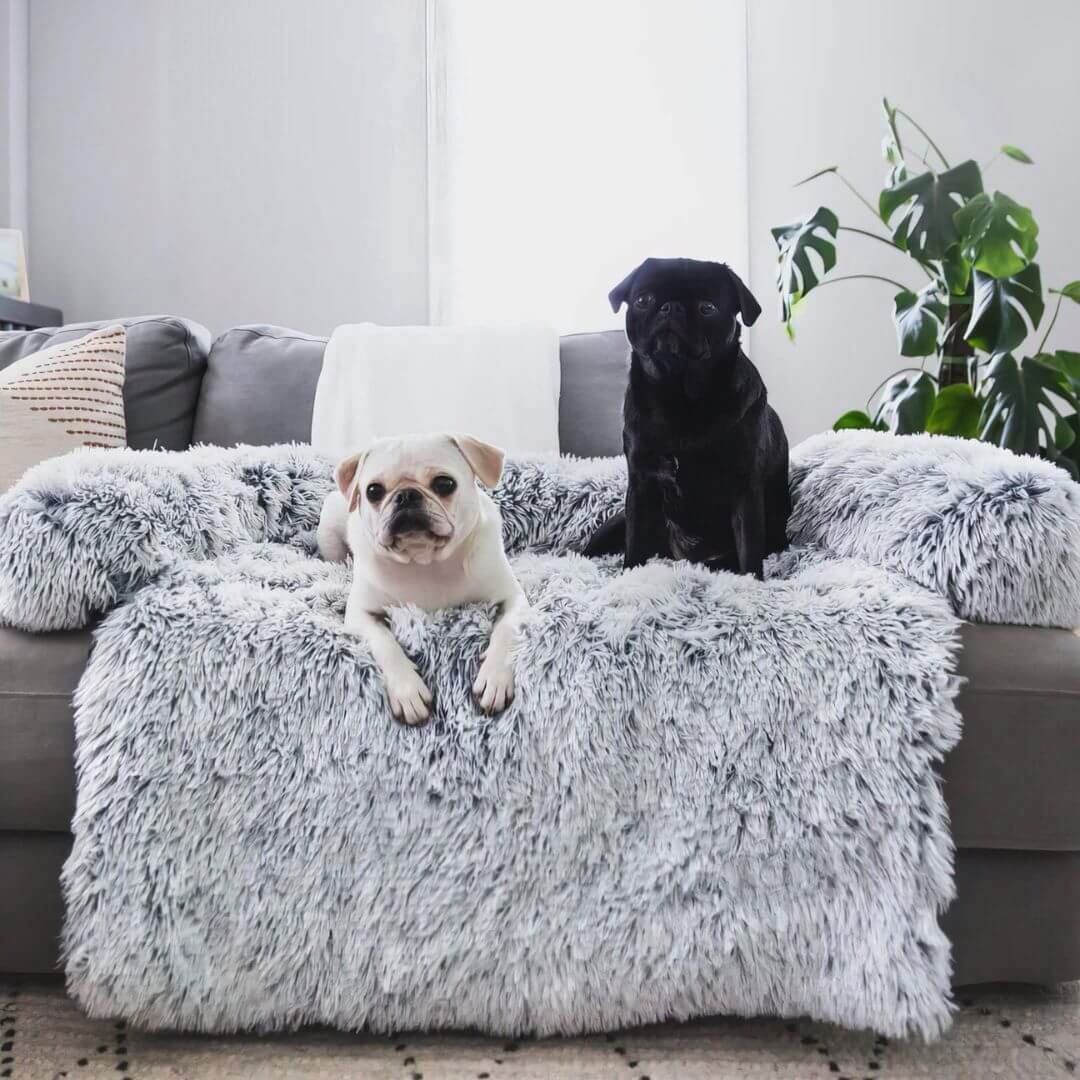 Pet Couch Cover product image 1