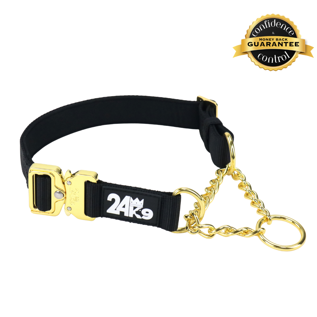 Martingale Dog Collar product image 1