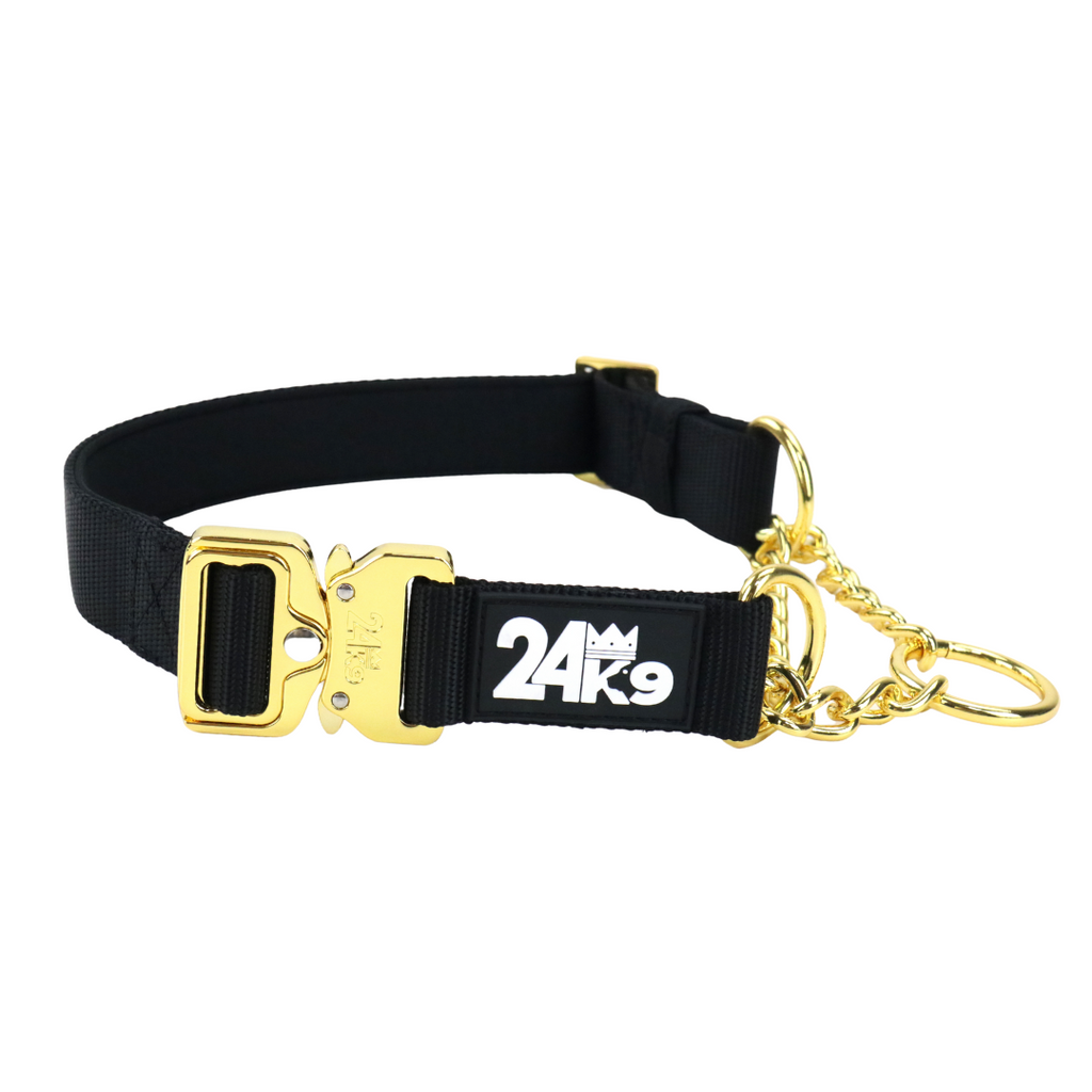 Martingale Dog Collar product image 2