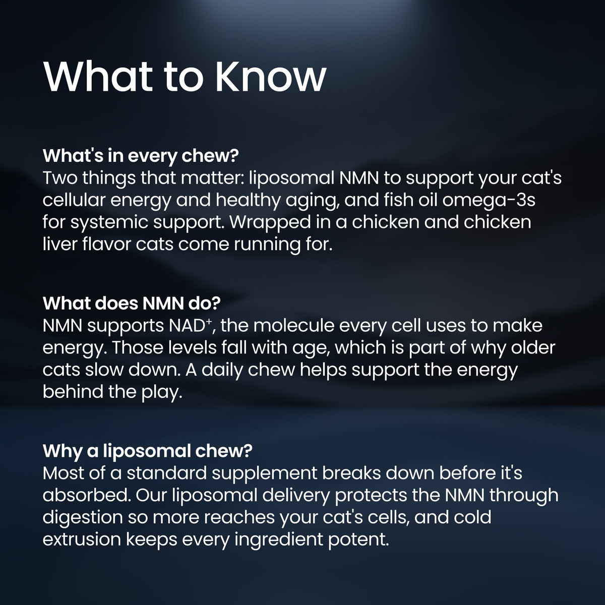 Cat Supplements product image 5