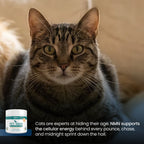 Cat Supplements product image 10