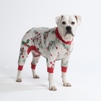 Mistletoe Christmas Dog Pajamas product image 6