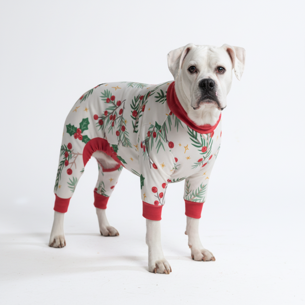 Mistletoe Christmas Dog Pajamas product image 6
