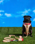 Cushioned No-Pull Dog Harness product image 10